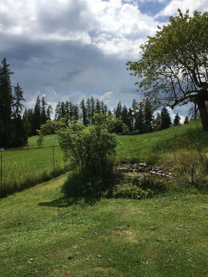 Haus Katrin Villa Sankt Marein bei Knittelfeld Екстериор снимка